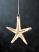 Starfish Glass Ornament, by Primitives by Kathy