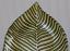 Striped Leaf Glass Plate, by The Abbott Collection