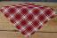 Red and white plaid tablemat