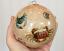 Sea Creature Ball Ornament, by Seasons of Cannon Falls