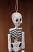 Recycled Paper Skeleton Ornament, by Cody Foster