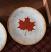 Maple Leaf Painted Decorative Plate with Ivory Crackle, hand painted in the USA.