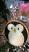 Penguin Wood Slice Ornament