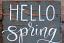 Hello Spring Hand Lettered Wood Sign