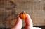 Tiny Miniature Pumpkin Figurine