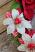 Celebrate the Season Fabric Wreath with Poinsettias