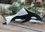 Orca Whale Personalized Ornament