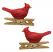 Cardinal Clip Ornaments (Set of 2) 