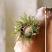 Moss Green Prickly Pine 2 inch Candle Ring