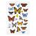 Field Guide Butterfly Printed Flour Sack Towel