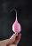 Pink Colored Silicone Light Bulb 