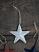 Antique White 3 inch Star Ornament