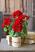 Red Geranium 18 inch Floral Bush