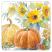 Sunflowers and Pumpkins Coaster