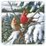Winter Cardinals Coaster