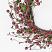 Burgundy Wispy Combo Berry 16 inch Wreath