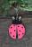 Pink Ladybug Personalized Ornament
