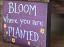 Bloom Sign with Flowers