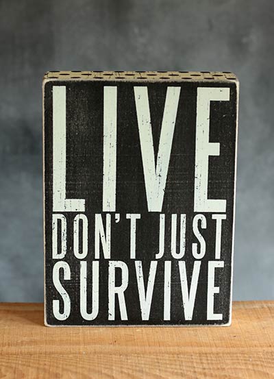 Live Don't Just Survive Box Sign