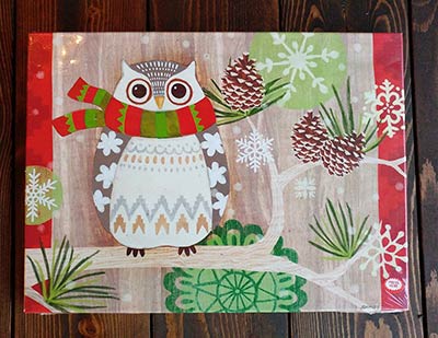 Christmas Owl Light Up Canvas Wall Decor
