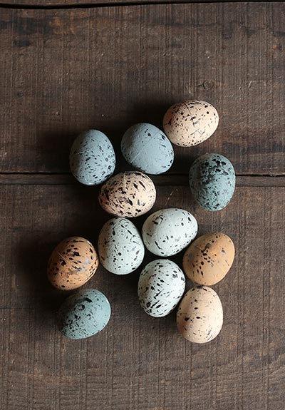 Speckled Spring Eggs (Set of 12)