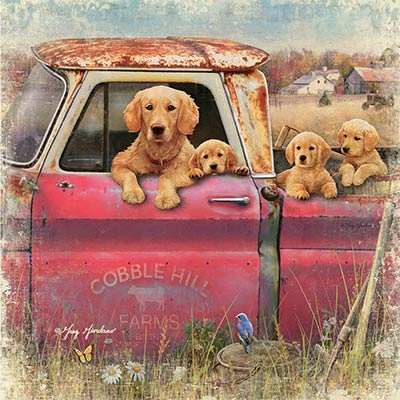 Truck and Goldens Coaster