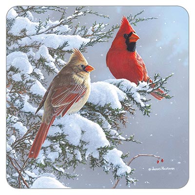 Cardinals & Cedar Coaster