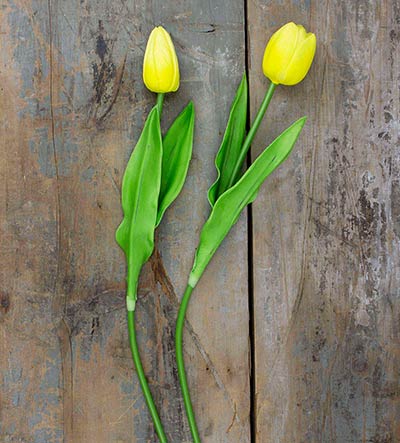 Yellow Tulips, Large (Set of 2)