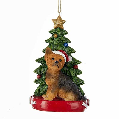 Yorkshire Terrier with Christmas Tree Ornament