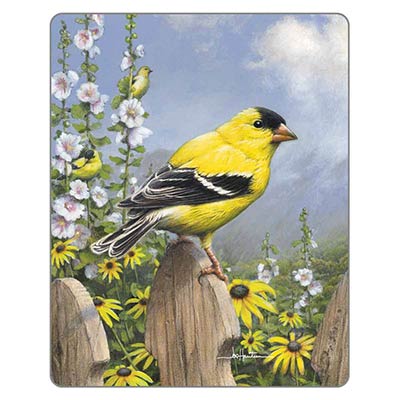 American Goldfinch Magnet