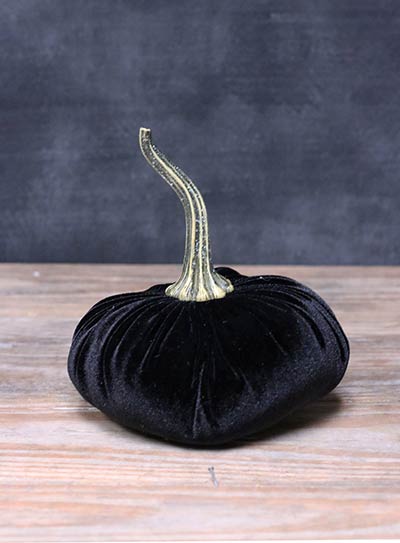Black Velvet Pumpkin - Large