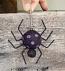 Spotted Spider Ornament on Spring - Purple