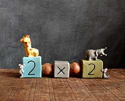 Two by Two Animals Bead Block