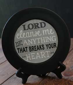 Cleanse Me Plate