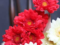 Chrysanthemum Bouquet - Red