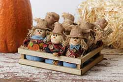 Scarecrow Mini Doll / Ornament