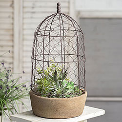 Rustic Garden Pot with Chicken Wire Cloche - Tall