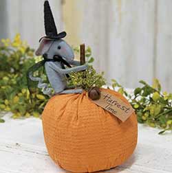 Harvest Mouse on Pumpkin