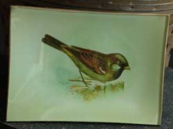 Vintage Songbird Glass Tray