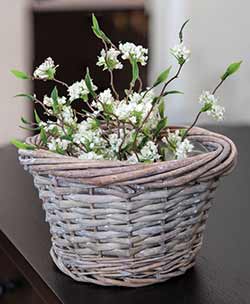 Gray Small Willow Basket