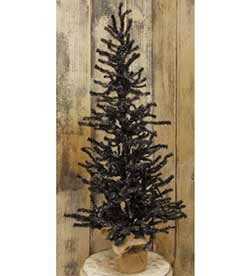 Black Pine Tree -  3 foot