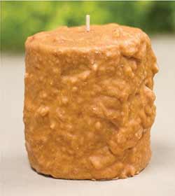Gingerbread Apple Cake Candle