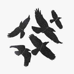 Mystical Bag of Ravens