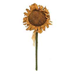Raggedy Sunflower, 16 inch