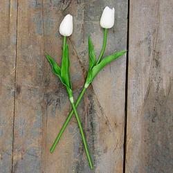 Ivory Tulips, Small (Set of 2)