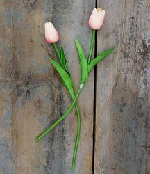 Light Pink Tulips, Small (Set of 2)