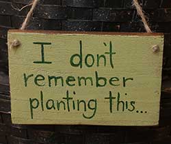 Don't Remember Planting This Wooden Sign