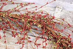 Red & Green Pip Berry Garland