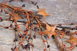 Primitive Star Pip Berry Garland (40 inch)