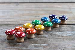 Rainbow Mushroom Sorting Set (12 pc) - Mini size